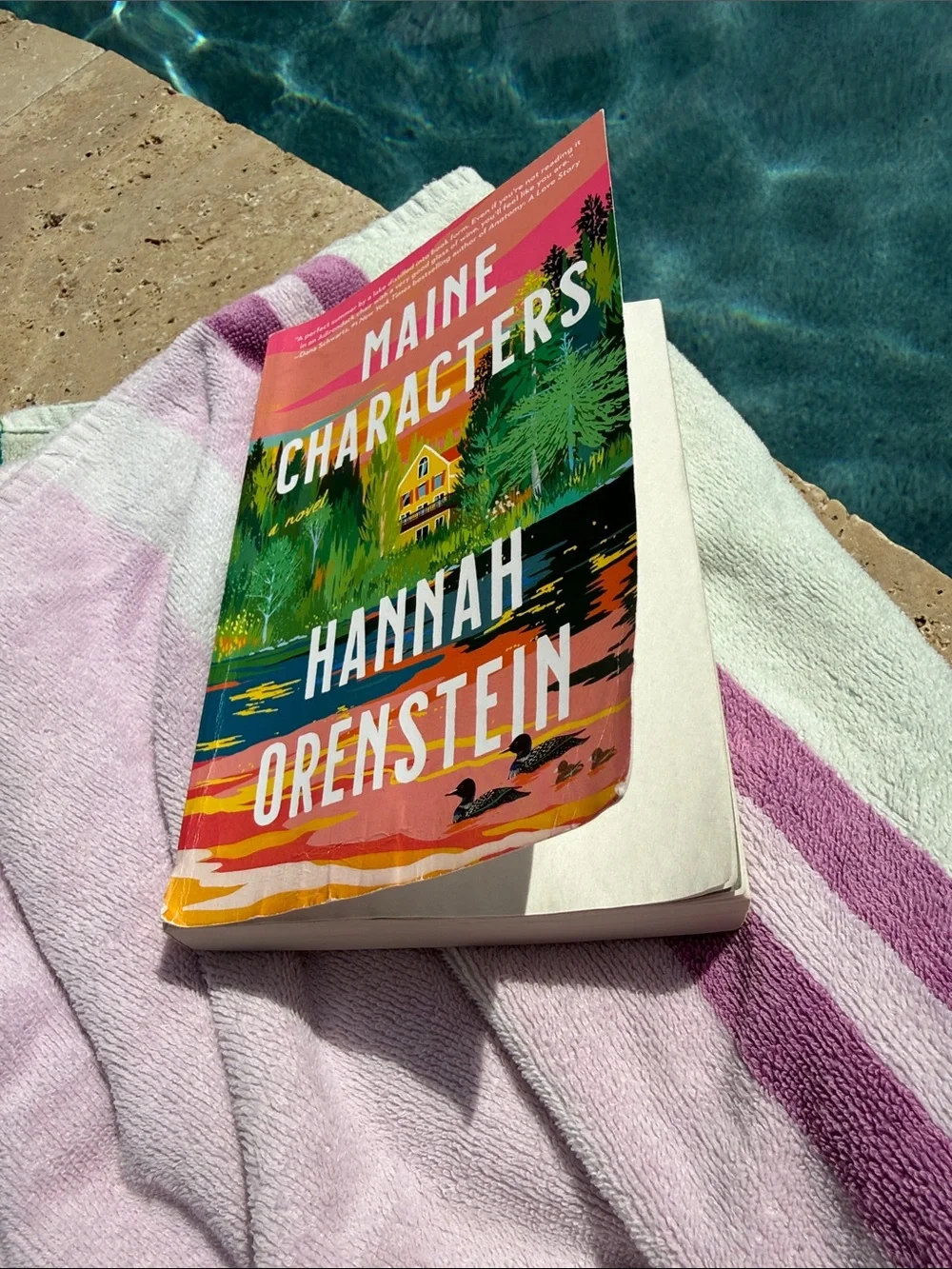 Book Club Fiction Novel “Maine Characters“ Hannah Orenstein  Paperback